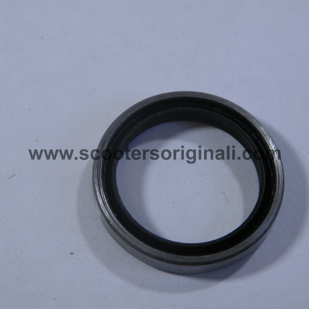 Vespa: 16mm Backplate Sea - P200e / P125X