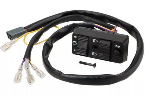 Vespa Light Switch - PK125 XL ETS PX Elestart 1984-1998 - 10 Wire DC Models With Battery --GRABOR